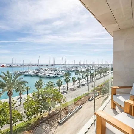 Entero * Palma de Maiorca
