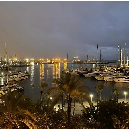 Entero * Palma de Maiorca